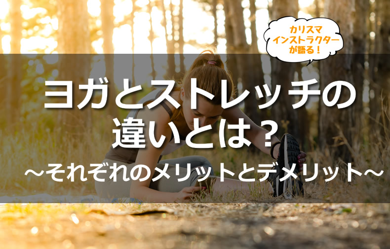 ヨガとストレッチの違いとは それぞれのメリットとデメリット ヨガの料金比較まとめ